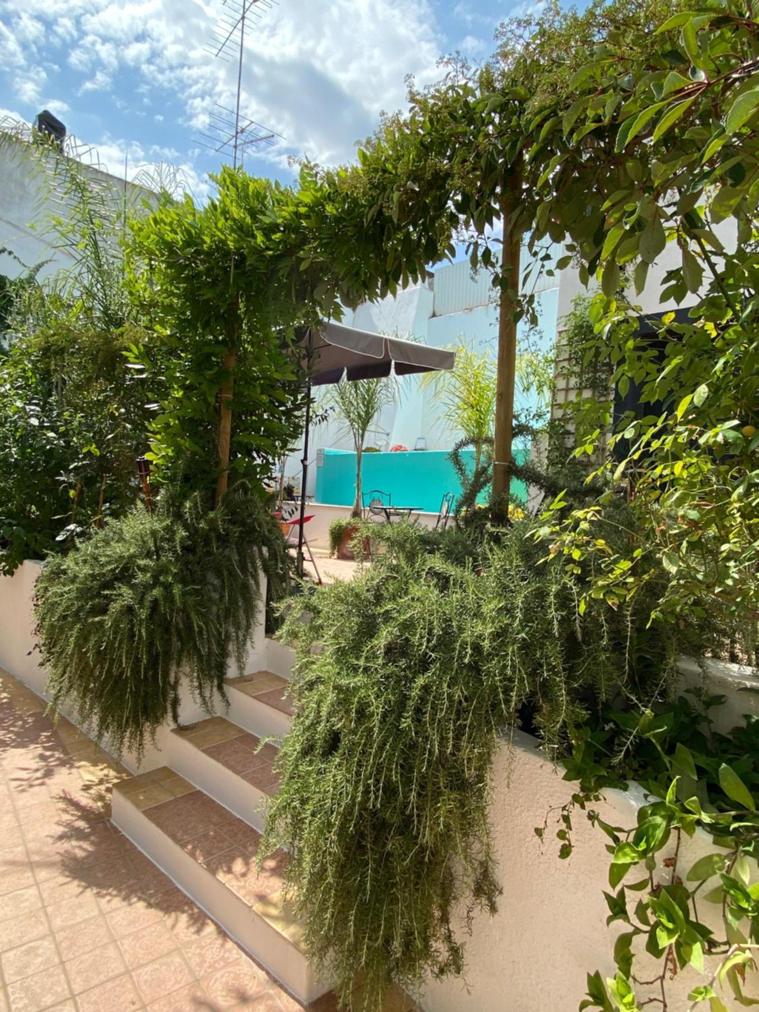Patio Da Villa - Coruche Boutique Guest House 외부 사진